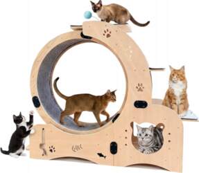 CAT TREADMILL WITH LOCK FUNCTION REEL