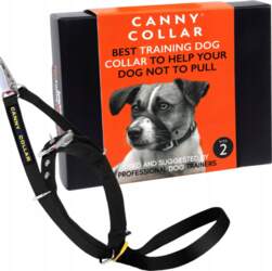 Collar without pulling training harness for