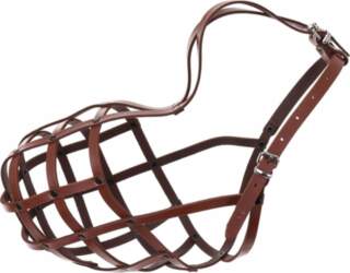 Dino Leather muzzle Riveted for dog