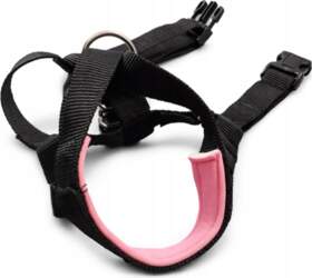 Dog Harness Adjustable Black with Pink