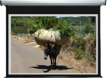 HAND SCREEN REFLECTA SilverLine 200x183 cm