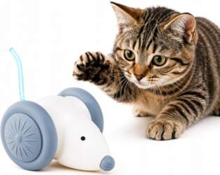 Interactive Cat Mouse Automatic USB Toy