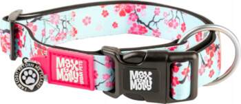 Max&Molly Cherry Bloom Collar - collar