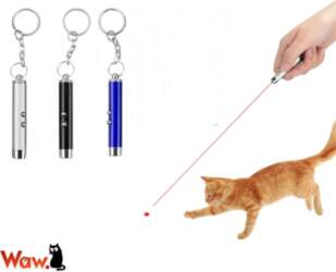 Mini laser 3in1 with flashlight presentation
