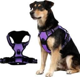 Moon MEDIUM DOG HARNESS L ANTI-PULL