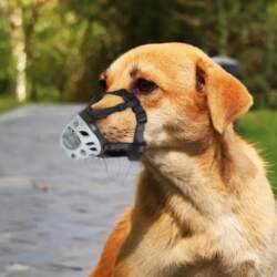 Muzzle for Dog Soft Cage Muzzle