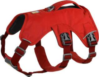 Ruffwear Web Master Harness - red