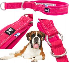 Semi-clamp dog collar with soft lining