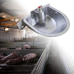 Sheep Automatic Water Bowl Dispenser,Automatic