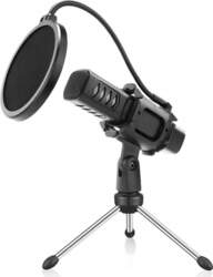 ShiftX4 Computer Microphone, for Birthday Party