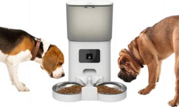 Smart Automatic Dog Cat Bowl Double