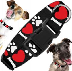 SOLID COLLAR FOR DOG STRONG ADJUSTABLE
