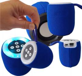 Wireless Speaker SH-309 USB micro SD
