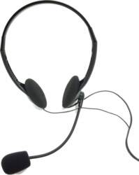 WM Headphones with microphone for remote