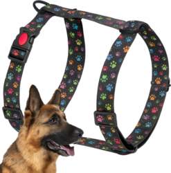ZANDOR SOLID ADJUSTABLE HARNESS GUARD WEBBING