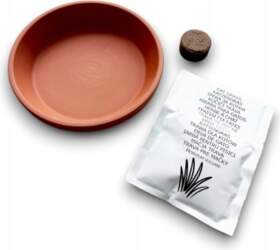 Cat grass set seeds pot earth