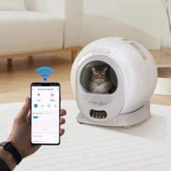 Cat litter box automatic smart with