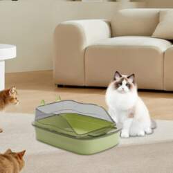 Cat Litter Box, Sturdy Plastic, Open