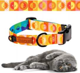 COMFORTABLE adjustable collar for small cat