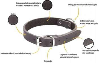Dingo Leather Collar Felt Lined 3