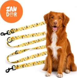 DOG LEASH ADJUSTABLE DETACHABLE STRONG WEBBING