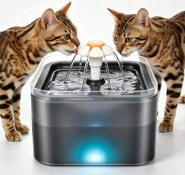 DRINKER WATER FOUNTAIN AUTOMATIC FOR CAT