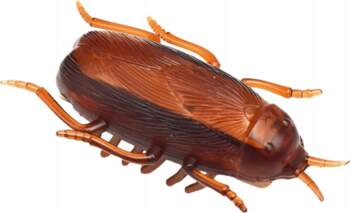 ELECTRONIC COCKROACH REMOTE CONTROLLED REMOTE CONTROL
