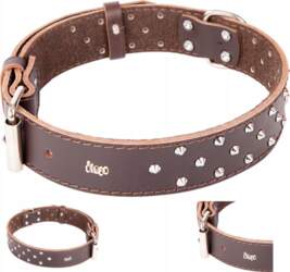Leather dog collar decorative studs Dingo