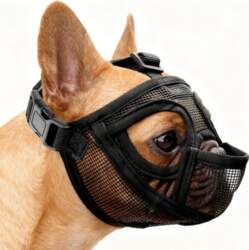 Mastiff UNIKEEN MUZZLE FRENCH BULLDOG MUZZLE