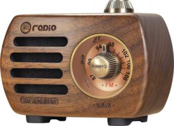 RADIO BLUETOOTH SPEAKER FM AUX CHARGING