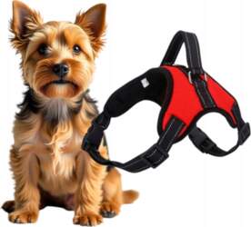 RED ADJUSTABLE DOG WALKING HARNESS BREATHABLE
