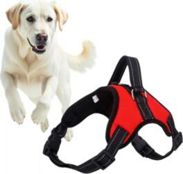 RED ADJUSTABLE DOG WALKING HARNESS BREATHABLE