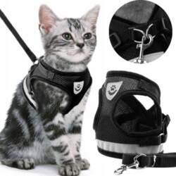 Reverse PRESSURE-FREE WALKING HARNESS ADJUSTABLE REFLECTIVE