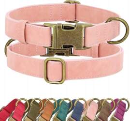 Soft leather dog collar Didog quick