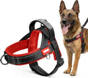 TRAINING DOG HARNESS WITH SHORT HANDLE