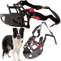Wesoły Pupil Medium Dog muzzle PHYSIOLOGICAL