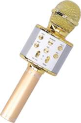 Wireless Microphone with Bluetooth Speaker and
