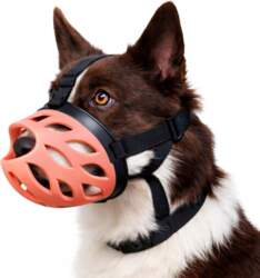Zoo DOG MUZZLE PHYSIOLOGICAL ADJUSTABLE RUBBER