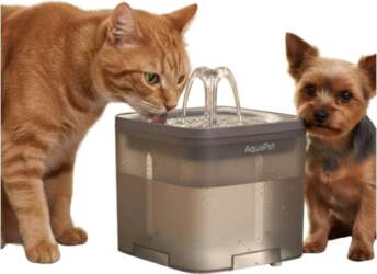 Automatic Drinker For Dog And Cat