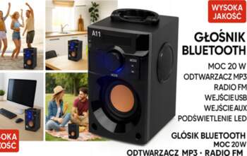 Bluetooth Speaker A11 20W MP3 FM