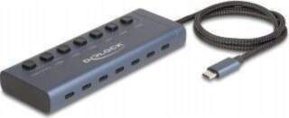 Delock Hub - 6 x USB-C