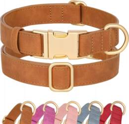 Didog Soft Leather Dog Collar with