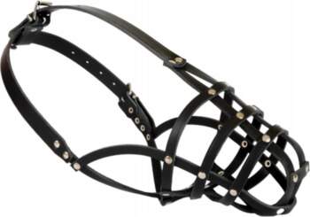 DINGO Leather muzzle for Spaniel dog