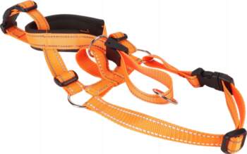 Dog collar, pull-resistant, adjustable front design