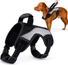 DOG HARNESS WITH CUSHIONED HANDLE ADJUSTABLE