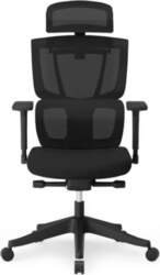Ergonomic Armchair Flexispot C7 Wave Armrests