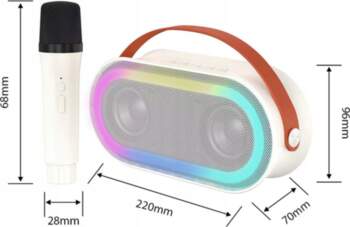 Mini Karaoke Machine with 2 BT