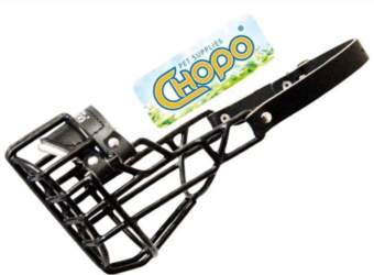 Physiological muzzle Chopo American Cocker Spaniel