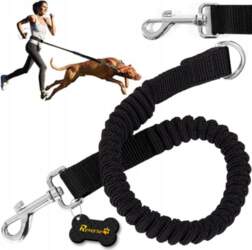 Reverse SHOCK ABSORBER FOR A TRAINING