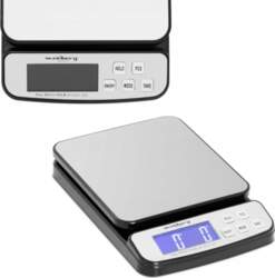 Steinberg Systems Electronic mail scale for